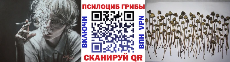 Галлюциногенные грибы ЛСД  Новоузенск 